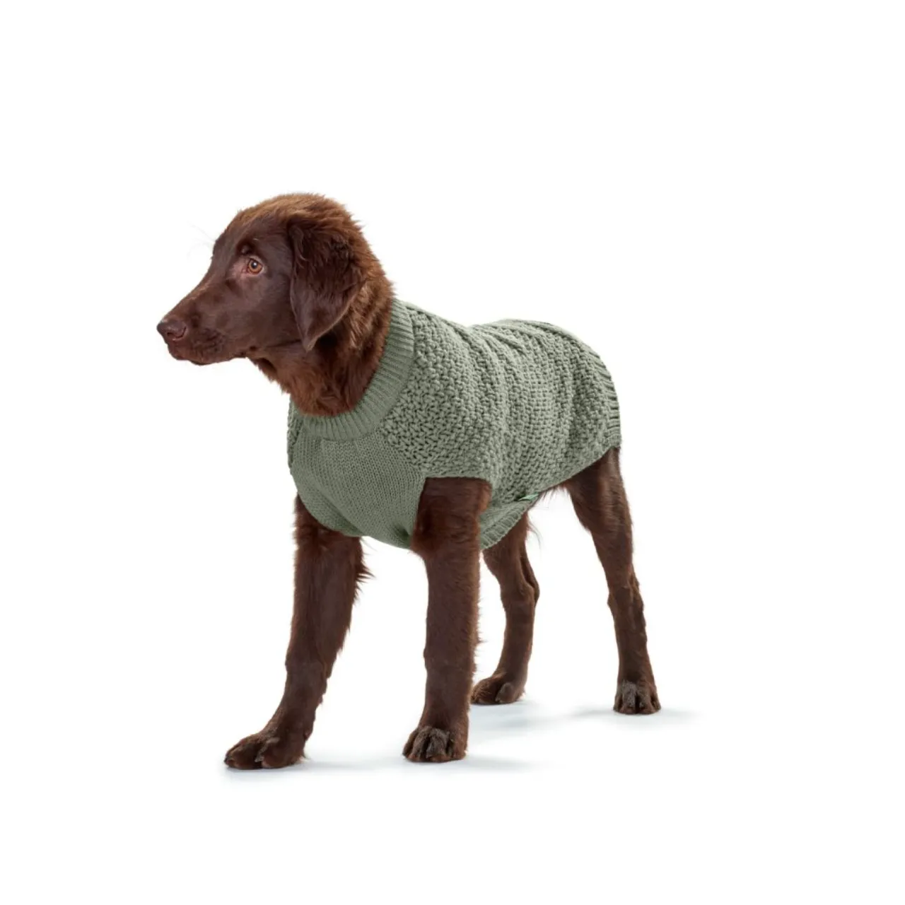 Hunter Malmø hundesweater Khaki str 35 - varm og blød komfort